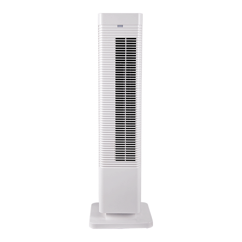 Room heater with fan